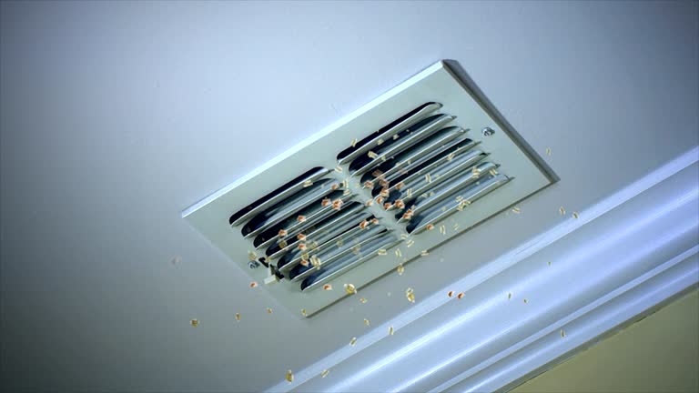 Best Emergency Air Duct Cleaning  in Tarkio, MO