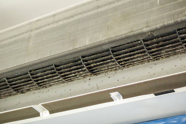 Best Duct Cleaning for Offices  in Tarkio, MO